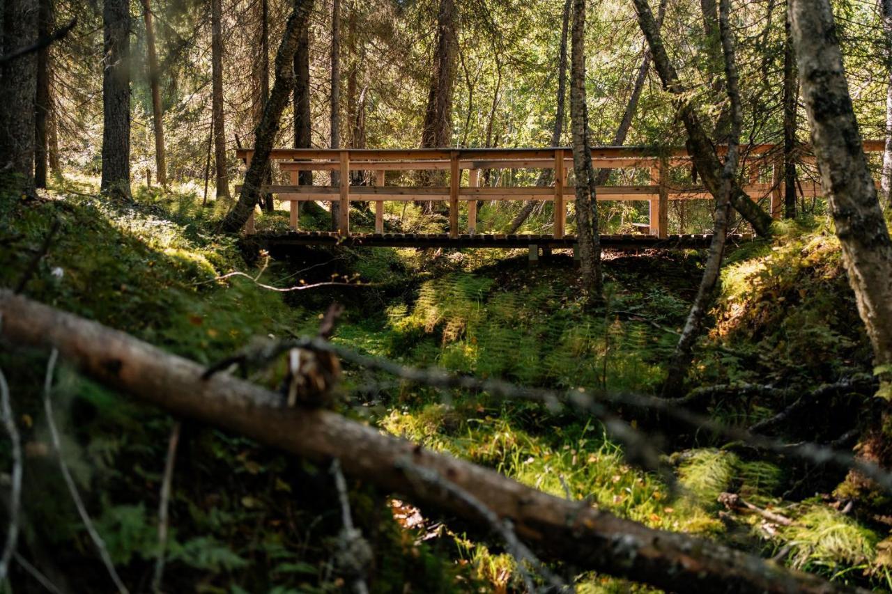 Ollero Eco Lodge Рованіемі Екстер'єр фото