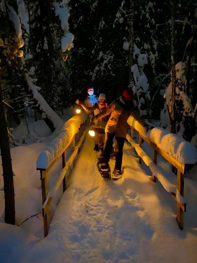 Ollero Eco Lodge Рованіемі Екстер'єр фото